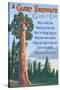 A Giant Sequoia's Guide to Life-Lantern Press-Stretched Canvas