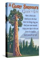 A Giant Sequoia's Guide to Life-Lantern Press-Stretched Canvas