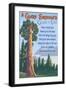 A Giant Sequoia's Guide to Life-Lantern Press-Framed Premium Giclee Print