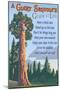 A Giant Sequoia's Guide to Life-Lantern Press-Mounted Premium Giclee Print