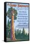 A Giant Sequoia's Guide to Life-Lantern Press-Framed Stretched Canvas