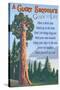 A Giant Sequoia's Guide to Life-Lantern Press-Stretched Canvas