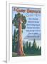 A Giant Sequoia's Guide to Life-Lantern Press-Framed Art Print