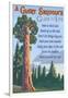 A Giant Sequoia's Guide to Life-Lantern Press-Framed Art Print