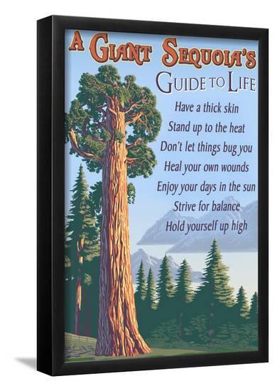 Poster, , large