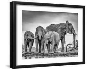 A Giant Unity-Jaco Marx-Framed Photographic Print