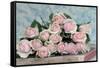 A Gift for Captivation-Sarah Gardner-Framed Stretched Canvas