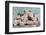 A Gift for Captivation-Sarah Gardner-Framed Premium Photographic Print