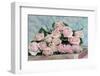 A Gift for Captivation-Sarah Gardner-Framed Premium Photographic Print