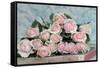 A Gift for Captivation-Sarah Gardner-Framed Stretched Canvas