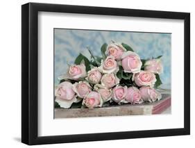 A Gift for Captivation-Sarah Gardner-Framed Photographic Print