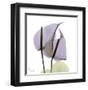 A Gift of Flowers in Lavender-Albert Koetsier-Framed Art Print