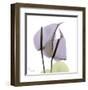 A Gift of Flowers in Lavender-Albert Koetsier-Framed Art Print