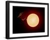 A Gigantic Ufo Venting Plasma from the Sun-Stocktrek Images-Framed Art Print