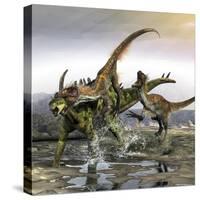 A Gigantspinosaurus Is Attacked by a Pair of Utahraptors-Stocktrek Images-Stretched Canvas