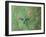 A Gilded Hummingbird, Hylocharis Chrysura, Feeds Mid Air on a Red Flower in Bonito, Brazil-Alex Saberi-Framed Photographic Print