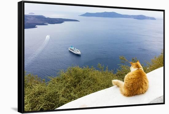 A ginger cat resting on a wall, overlooking a cruise ship in the Aegean Sea, Santorini, Cyclades-Ed Hasler-Framed Stretched Canvas