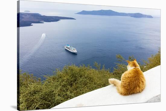 A ginger cat resting on a wall, overlooking a cruise ship in the Aegean Sea, Santorini, Cyclades-Ed Hasler-Stretched Canvas