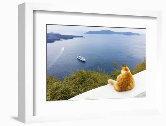 A ginger cat resting on a wall, overlooking a cruise ship in the Aegean Sea, Santorini, Cyclades-Ed Hasler-Framed Photographic Print