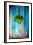 A Ginkgo Leaf-Philippe Sainte-Laudy-Framed Photographic Print