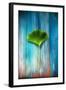 A Ginkgo Leaf-Philippe Sainte-Laudy-Framed Photographic Print