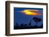A Giraffe At Sunset-Mario Moreno-Framed Photographic Print