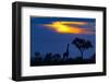 A Giraffe At Sunset-Mario Moreno-Framed Photographic Print