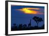 A Giraffe At Sunset-Mario Moreno-Framed Photographic Print