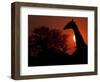 A Giraffe Head Silhouetted in Front of the Setting Sun.-Karine Aigner-Framed Photographic Print