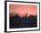 A Giraffe Peeks Out over Treetops at Sunset-Alex Saberi-Framed Photographic Print