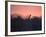 A Giraffe Peeks Out over Treetops at Sunset-Alex Saberi-Framed Photographic Print