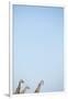 Gramercy White