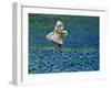 A Girl, 3, Goes for a Romp Through a Field of Bluebonnets-null-Framed Premium Photographic Print