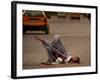 A Girl, 7, Sick with Fever, Lies on a Street-null-Framed Photographic Print