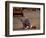 A Girl, 7, Sick with Fever, Lies on a Street-null-Framed Photographic Print