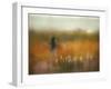 A Girl and Bear Grass-Shenshen Dou-Framed Premium Photographic Print