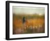 A Girl and Bear Grass-Shenshen Dou-Framed Photographic Print