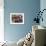 A Girl and Her Friends Smile During a March-null-Framed Premium Photographic Print displayed on a wall