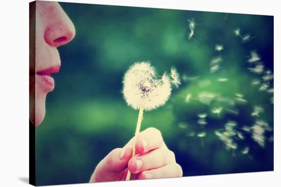 A Girl Blowing on a Dandelion-graphicphoto-Stretched Canvas