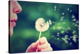 A Girl Blowing on a Dandelion-graphicphoto-Stretched Canvas