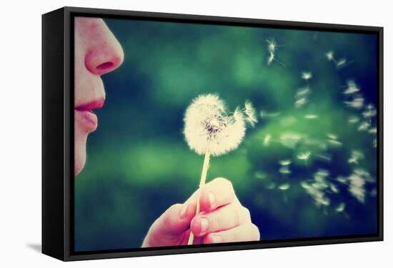 A Girl Blowing on a Dandelion-graphicphoto-Framed Stretched Canvas