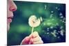 A Girl Blowing on a Dandelion-graphicphoto-Mounted Photographic Print