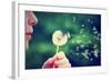 A Girl Blowing on a Dandelion-graphicphoto-Framed Photographic Print