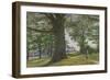 A Girl by a Beech Tree in a Landscape-George Price Boyce-Framed Giclee Print