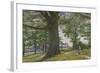 A Girl by a Beech Tree in a Landscape-George Price Boyce-Framed Giclee Print