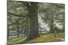 A Girl by a Beech Tree in a Landscape-George Price Boyce-Mounted Giclee Print