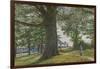 A Girl by a Beech Tree in a Landscape-George Price Boyce-Framed Giclee Print