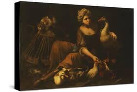 A Girl Feeding Cockerels, with a Cat on a Basket, a Goose, Duck and other Birds-called Mao Salini Tommaso-Stretched Canvas