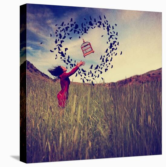 A Girl in a Field Tossing a Birdcage in the Air with Birds Flying in the Shape of a Heart Toned Wit-graphicphoto-Stretched Canvas