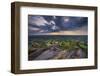 A girl looks out over the Cheshire Plain from Bosley Cloud, Cheshire, England, United Kingdom-Alan Novelli-Framed Photographic Print